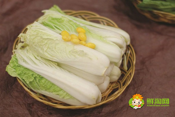 娃娃菜是白菜嗎，兩者的區(qū)別非常明顯