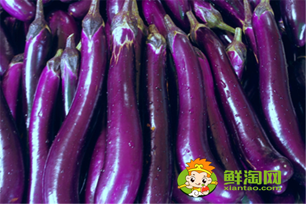 茄子是感光食物嗎，吃什么排黑素最強