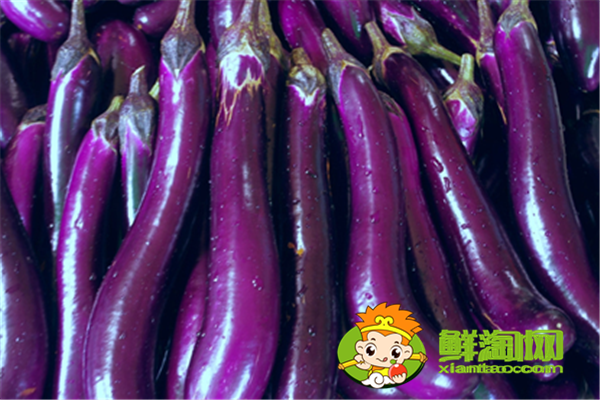 茄子是什么季節(jié)的，秋茄子能吃嗎