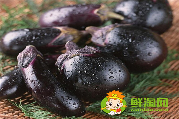 茄子是什么季節(jié)的，秋茄子能吃嗎