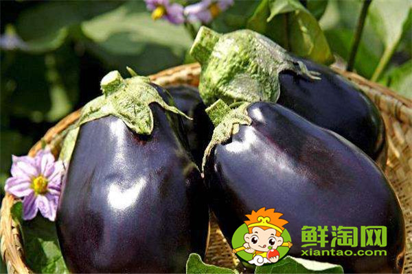 微波爐烤茄子然后再紅燒可以嗎，紅燒茄子最簡(jiǎn)單的做法