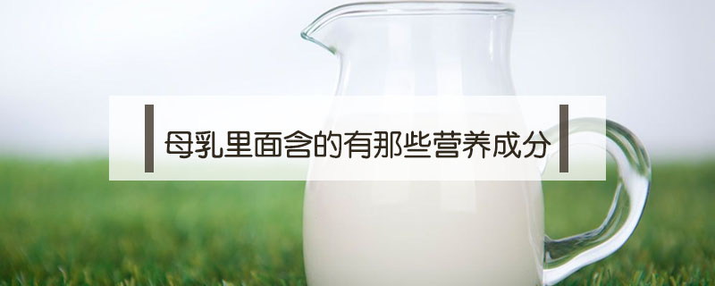 母乳里面含的有那些營(yíng)養(yǎng)成分