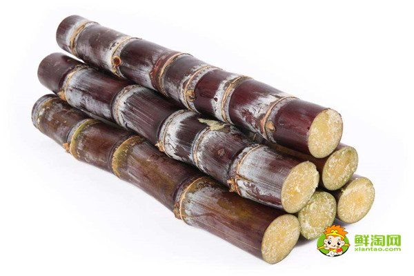 黑皮甘蔗吃了會胖嗎，不僅不會胖，適當(dāng)吃還可以減肥