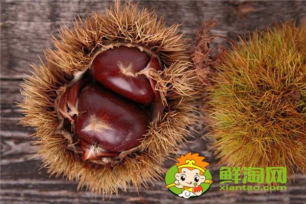 給栗子劃口怎么快，板栗怎樣保存