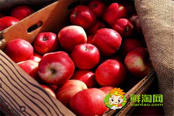 吃蘋果多久可以美白,每天什么時(shí)候吃蘋果美容