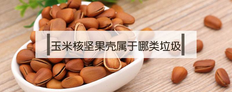 玉米核堅(jiān)果殼屬于哪類(lèi)垃圾