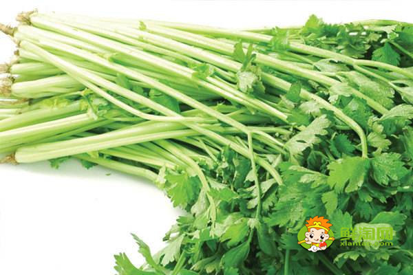 十種刮油食物越吃越瘦，膳食纖維等物質(zhì)豐富的食物可以起到很好的減肥瘦身作用