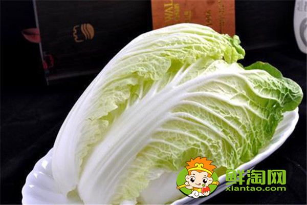 大白菜的營養價值及功效，怎么挑選新鮮大白菜