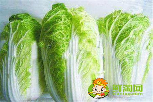 大白菜的營養價值及功效,怎么挑選新鮮大白菜