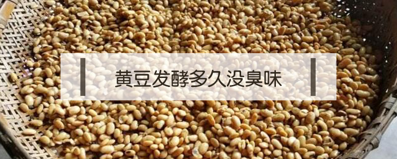 黃豆發(fā)酵多久沒(méi)臭味