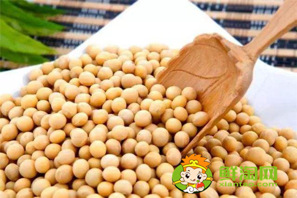 如何用黃豆做豆?jié){，手磨豆?jié){和機(jī)器做的豆?jié){哪個(gè)好