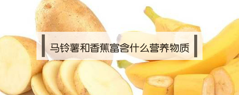 馬鈴薯和香蕉富含什么營養(yǎng)物質(zhì)