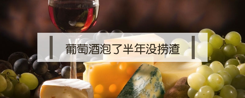 葡萄酒泡了半年沒撈渣