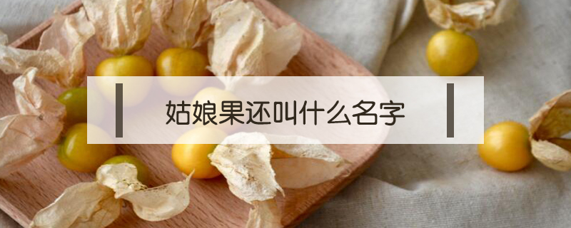 姑娘果還叫什么名字