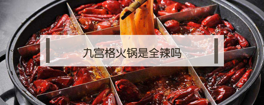 九宮格火鍋是全辣嗎