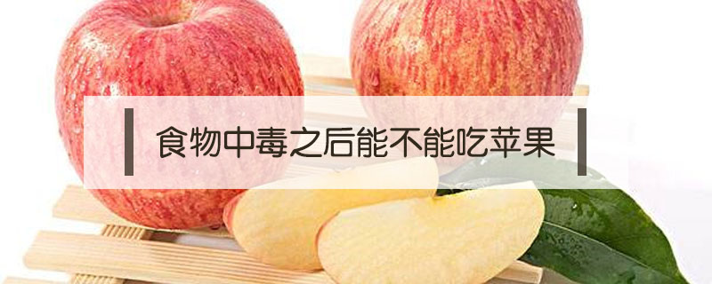 食物中毒之后能不能吃蘋果
