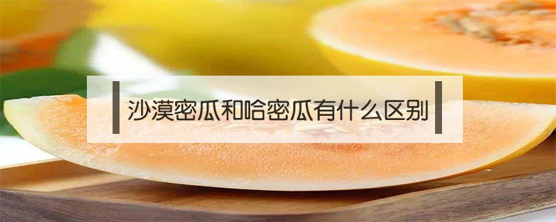 沙漠密瓜和哈密瓜有什么區別