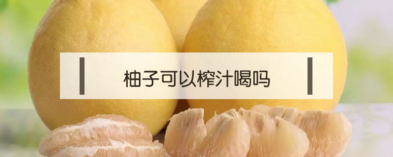 柚子可以榨汁喝嗎