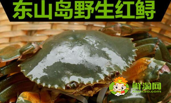 青蟹什么時候最肥美，浙江三門青蟹什么時候最肥美