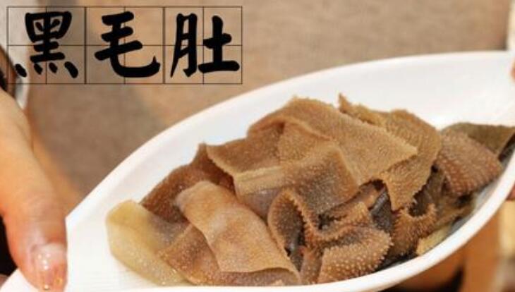 毛肚是什么動物身上的，如何鑒別毛肚的好壞