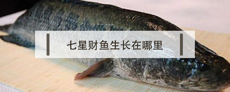 七星財魚生長在哪里