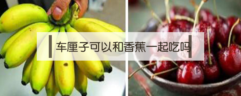車厘子可以和香蕉一起吃嗎