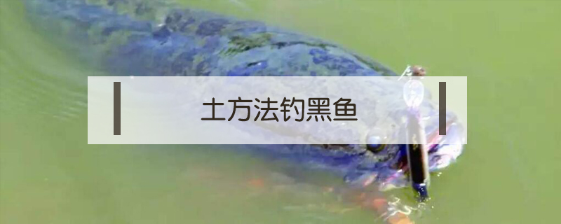 土方法釣黑魚