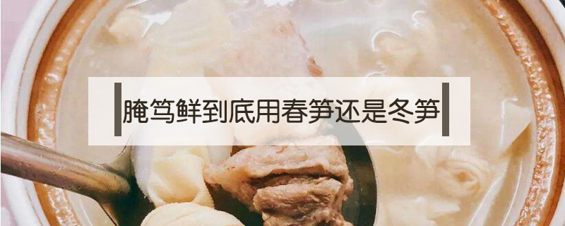 腌篤鮮到底用春筍還是冬筍