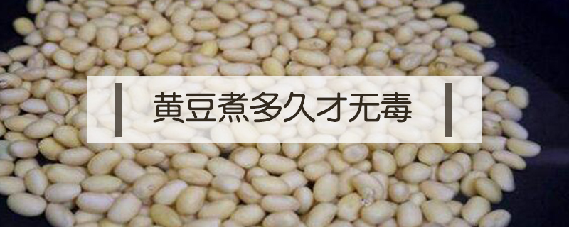 黃豆煮多久才無毒