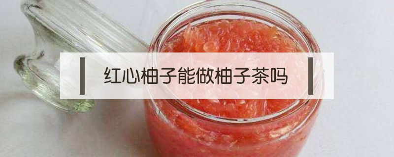 紅心柚子能做柚子茶嗎