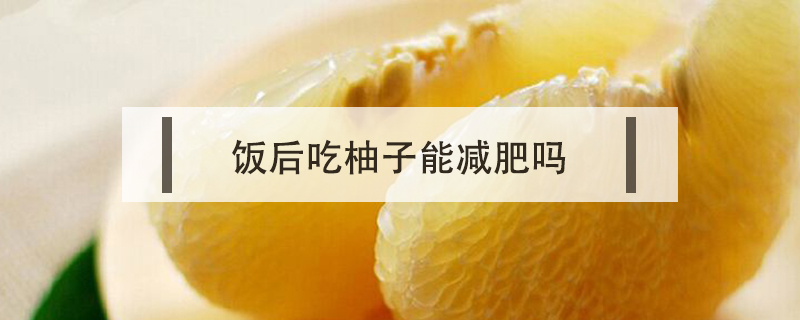 飯后吃柚子能減肥嗎