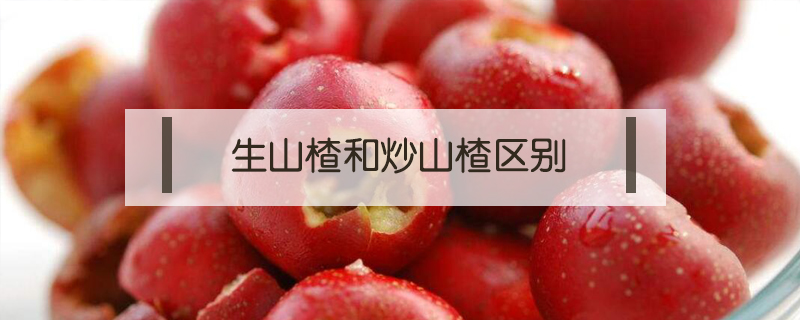 生山楂和炒山楂區別