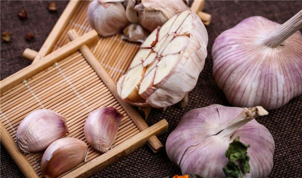 大蒜能長(zhǎng)出新蒜可以吃嗎