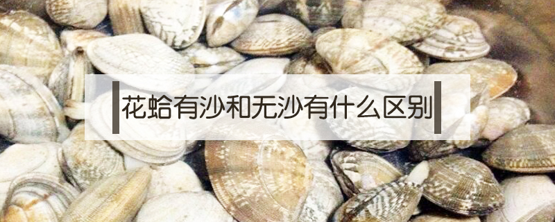 花蛤有沙和無沙有什么區別