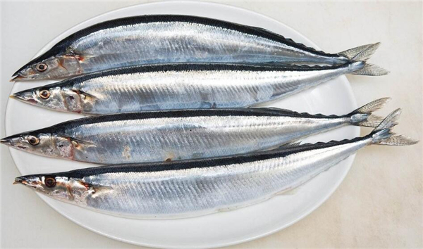 鮐鲅魚和油鲅魚的區(qū)別