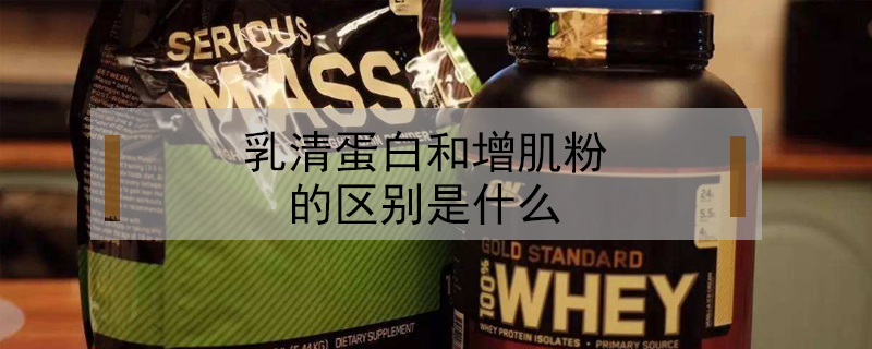 乳清蛋白和增肌粉的區(qū)別是什么
