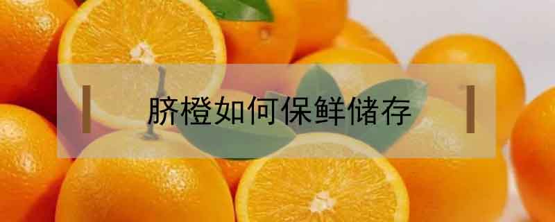 臍橙如何保鮮儲存