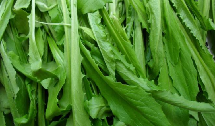 春分吃什么美食，春分節氣養生吃什么菜?