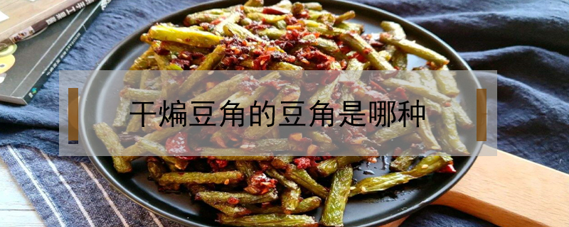 干煸豆角的豆角是哪種