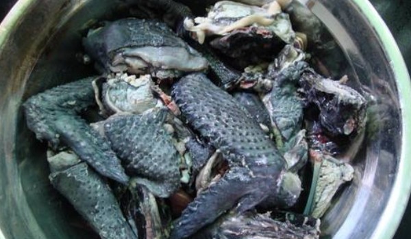 烏雞湯怎么燉好喝又營養