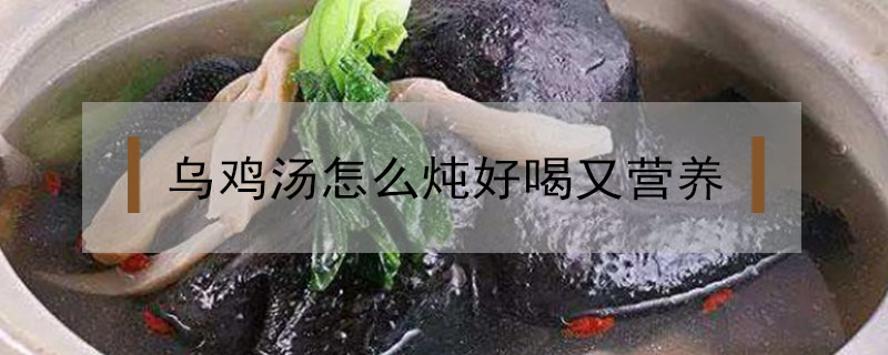 烏雞湯怎么燉好喝又營養