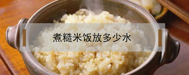 煮糙米飯放多少水