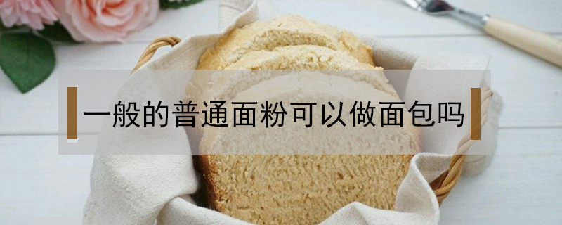 一般的普通面粉可以做面包嗎