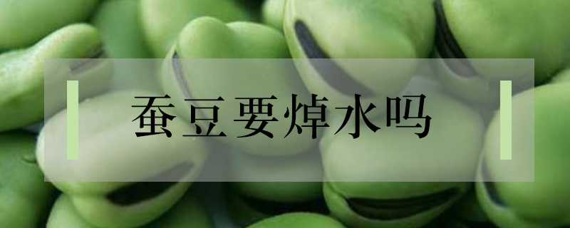 蠶豆要焯水嗎