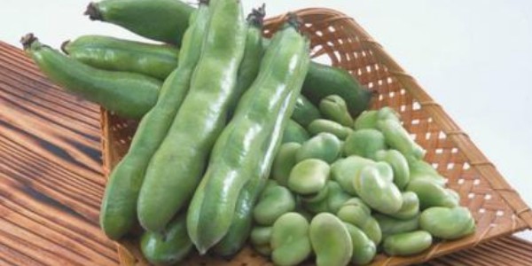 蠶豆要焯水嗎