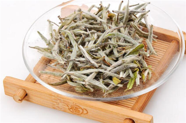 白茶屬于什么茶