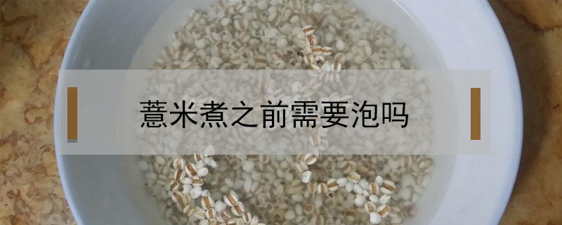 薏米煮之前需要泡嗎