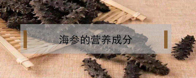 海參的營養(yǎng)成分