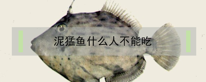 泥猛魚(yú)什么人不能吃