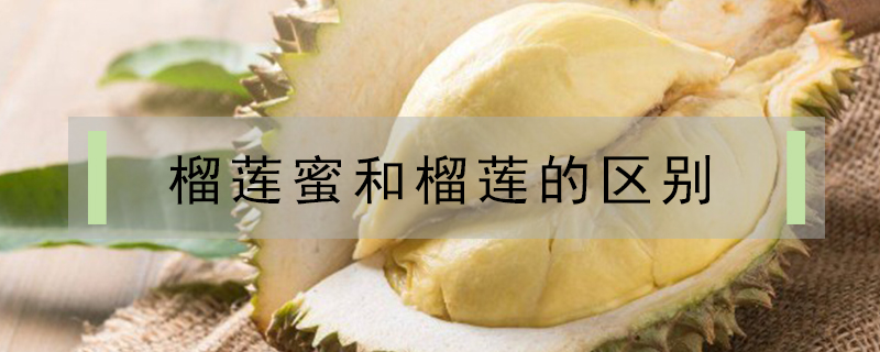 榴蓮蜜和榴蓮的區別